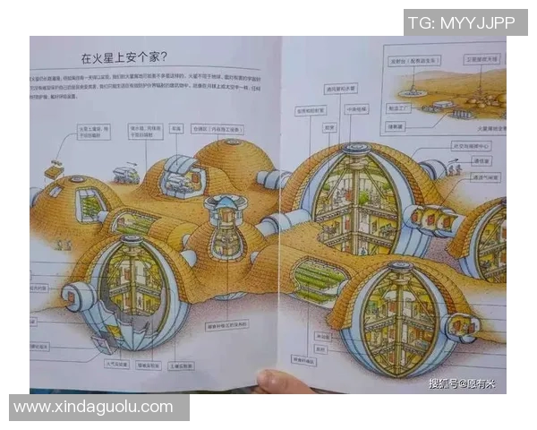 2017年梦想与神秘人交织的奇幻旅程探索与启示