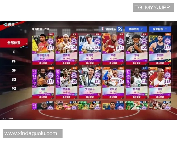 2016年NBA总决赛猛龙与勇士的巅峰对决回顾与分析