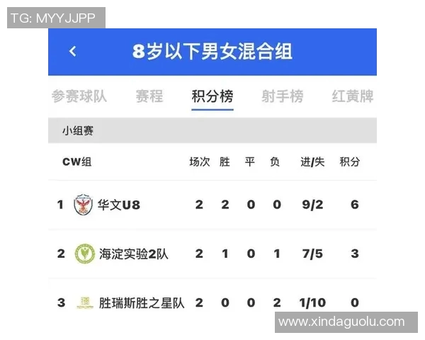 奥地利与波兰足球历史交锋记录分析及战绩回顾