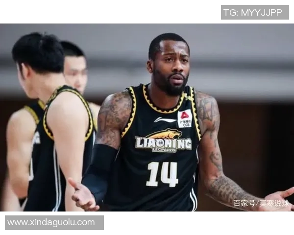 探寻弗格的魅力与影响力：从历史到现代的深度解读与思考