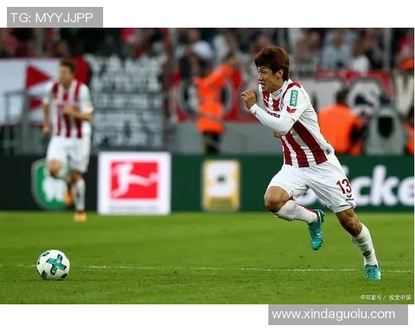 桑德豪与菲尔特对决分析及胜负推荐策略探讨