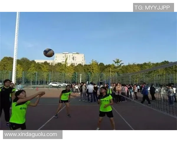 南京排球队引领最新排球节奏TOP10榜单全景解析