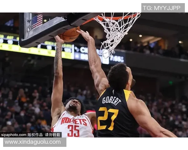 布林狮子迎战休斯顿城全力争胜展现球队实力与风采