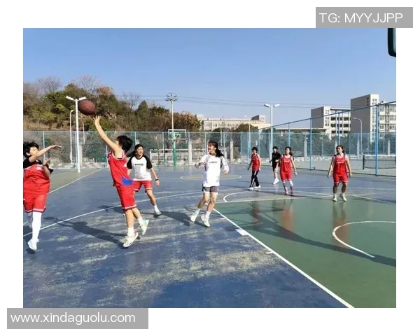南京篮球队耐力提升之路：从训练到比赛的全方位探索与实践